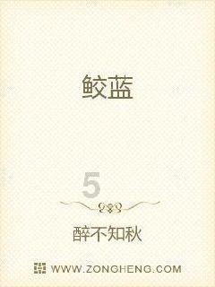 高级定制